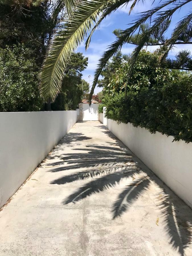 Chalet La Rosa Cala Blanca  Ngoại thất bức ảnh